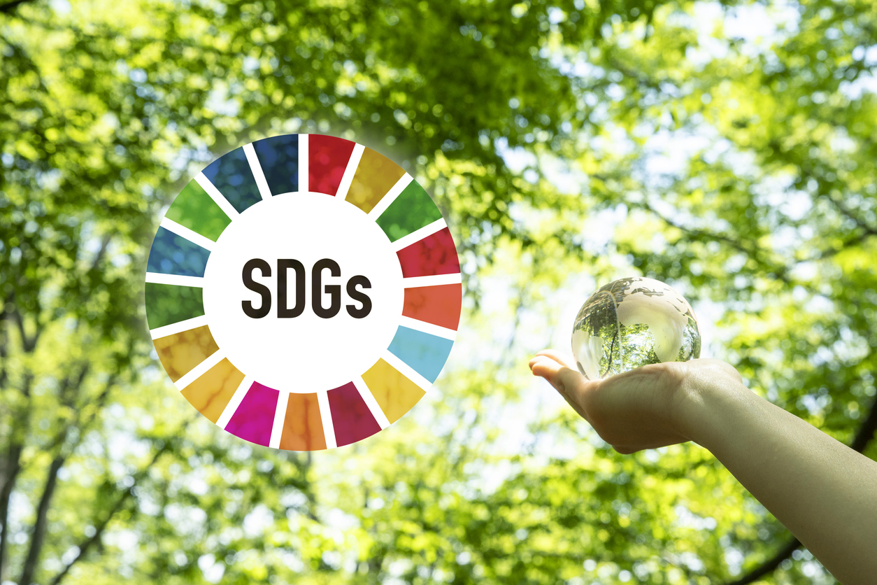 Sustainable Development Goals, SDGs image